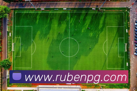 pg官网平台生态图